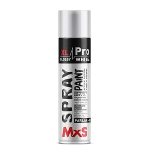 MXS10004 XL PRO SPREY BOYA 500ML